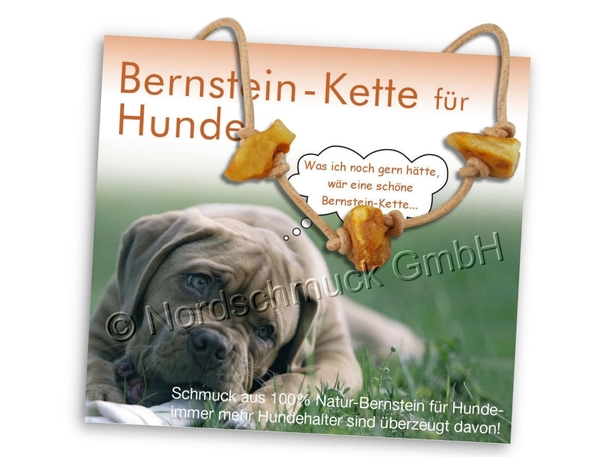 Bernstein-Kette für Hunde von Nordschmuck (Art. 13001), Foto: Knut Rudloff