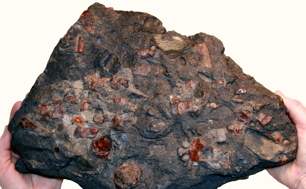 Dominikanischer Bernstein im Original-Sediment, Foto: Dr. Wolfgang Weitschat