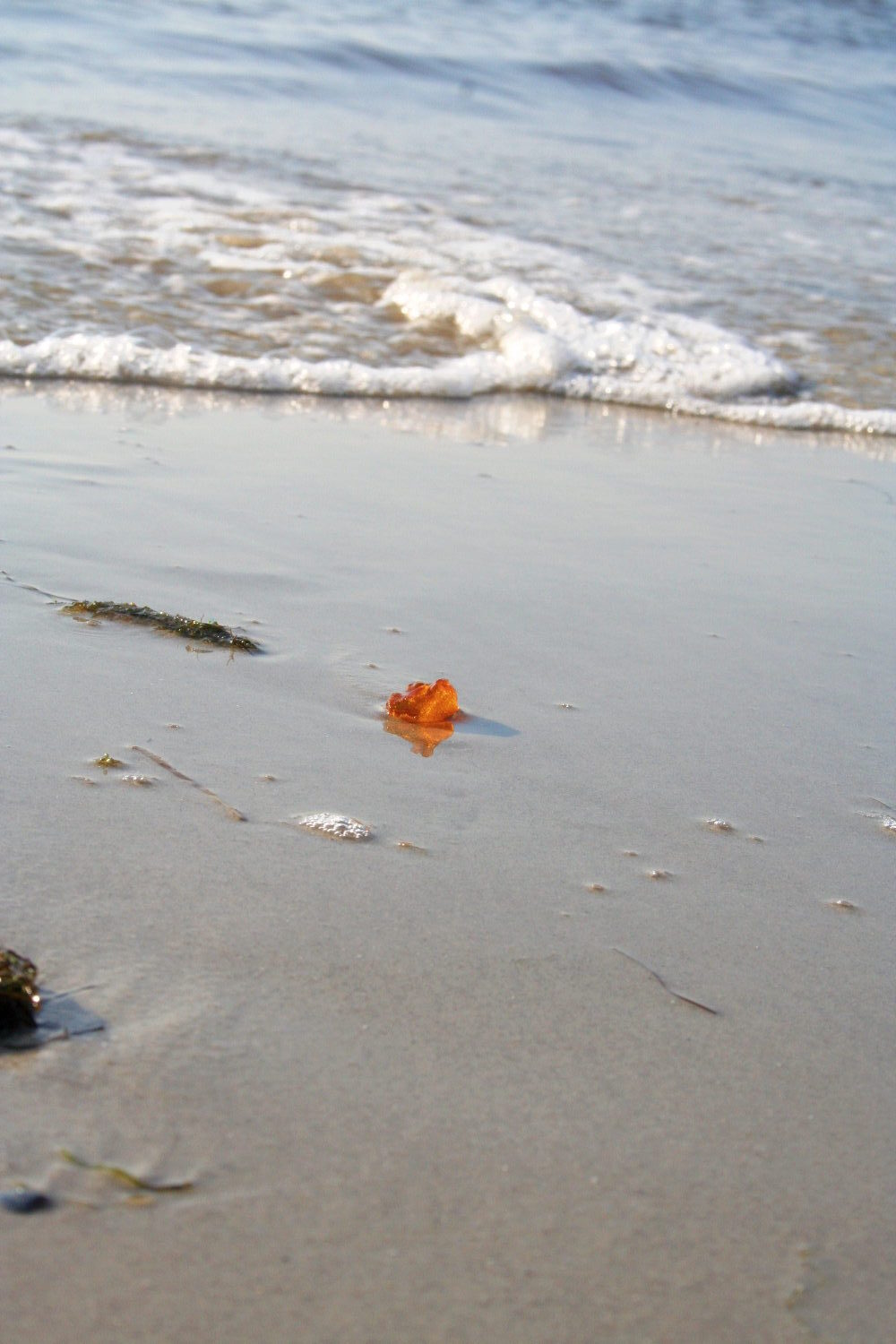 Bernstein-Strandfund an der Nordseeküste vor St. Peter-Ording, Foto: Knut Rudloff